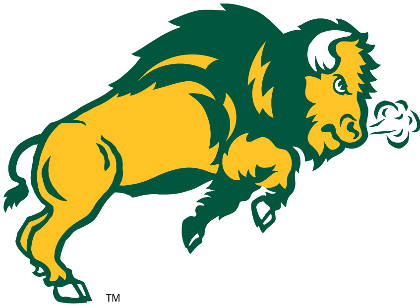 North Dakota State Bison 2006-2011 Secondary Logo DIY iron on transfer (heat transfer)